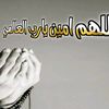 aligul2334