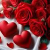 loulou.m105