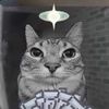 smartcat482