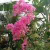 anitabasir5599