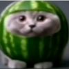 xdxdxd5340
