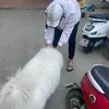 namvovippr0