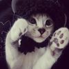 hello.laurfe