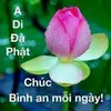 minhthu.586
