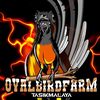 OVALL BIRDFARM 21