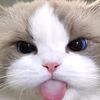 ren_privatee