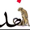 user9351540519057