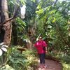 bidan_yuliem4can
