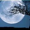lunatica76.6