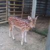 biplobhossain8628