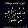 user4300691600870