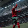 hn_7p7