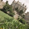 majed_50002