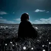 laya_z555