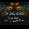 wahidafghan183