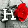 user19i7ok9dm8
