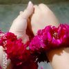 alishashah7246