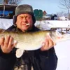 sashaterliski8