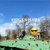 orgesbrahimaj7