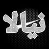 wadnyala249_1