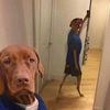 nosepueponerx2