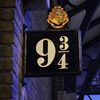 shameegahdavids35