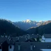 olivverr2