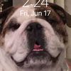 __3dotz__