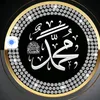 user8618276120956