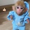 isthat_ghost