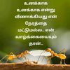 ramesh.kumar8462