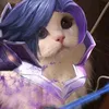 taoday0.3