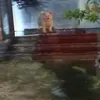 ohmnanon_xanhdo