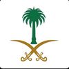 hadiaahmed995