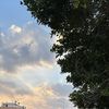 k5_005