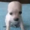 marllbro.rrd