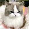 yuuyuu._1