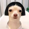 username8282968