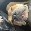 scoobydobbydoo64