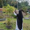 mawaddah_0811