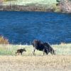 adventure_colorado