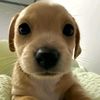 zallgoodboyy