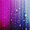 azlan_qxxx