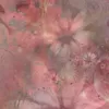 yoyoyomashkash