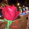 userdie8lxbw6w