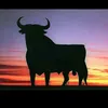 viajerodeltienpo36