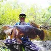 yogiangler