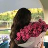 _chmchom19