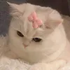 6r__21