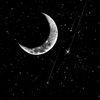 crescent225